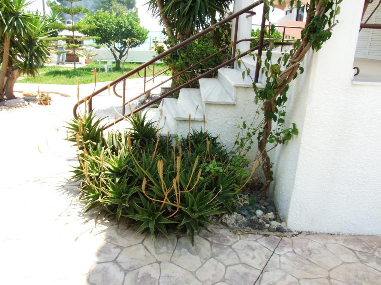 Sokrates Studios Afandou Exterior foto